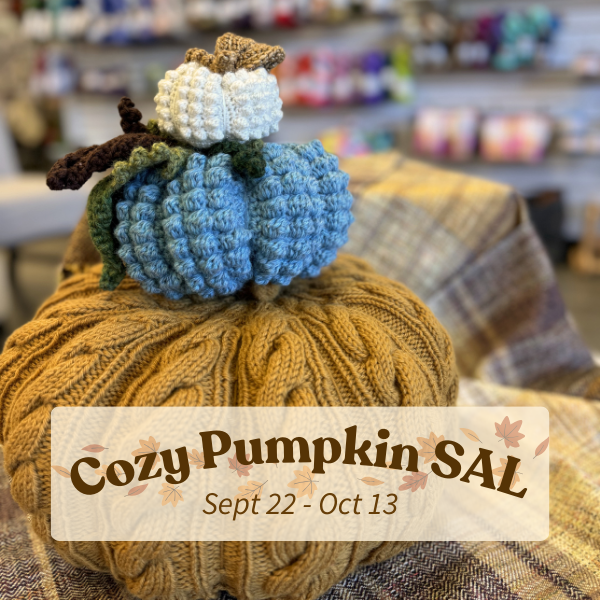 Cozy Pumpkin SAL '24