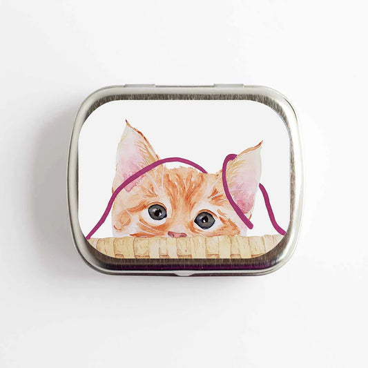 Kitten Storage Tin